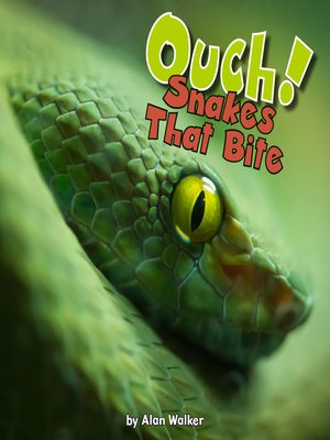 cover image of OUCH! Snakes That Bite